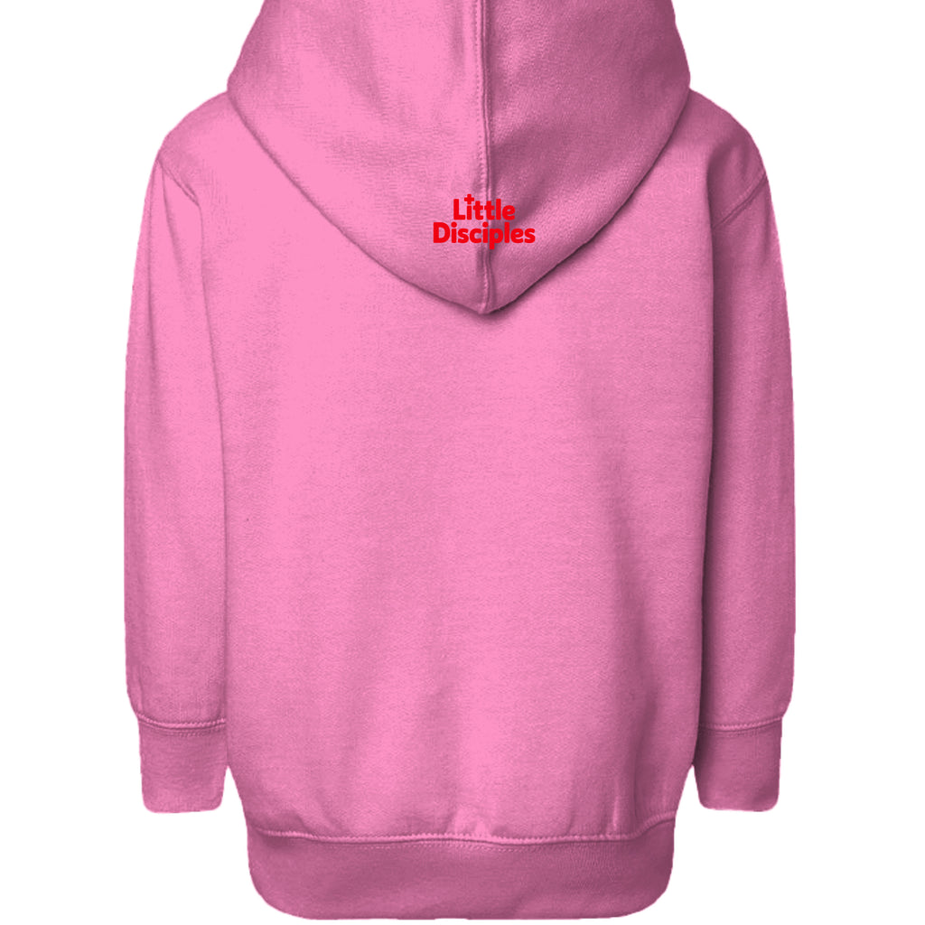 RASPBERRY - 3326 - BACK